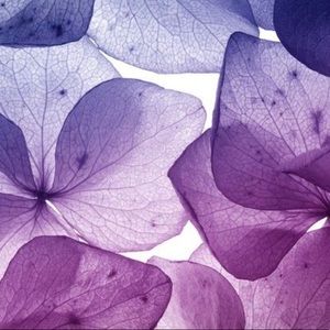 Meet your Posher, Arriana